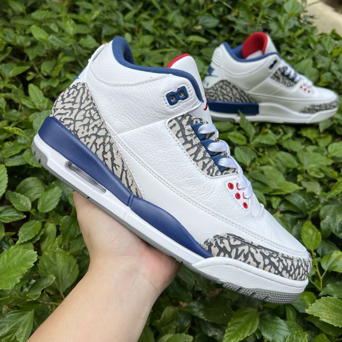 Nike Jordan shoe
